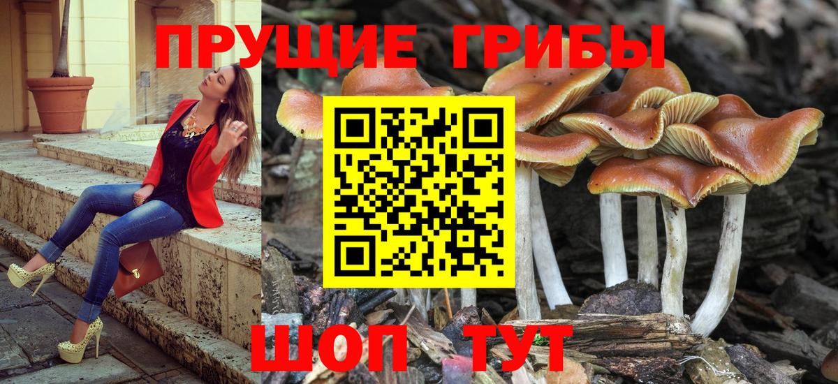 хочу   Псилоцибиновые грибы ЛСД  Вход с VPN  Ревда 
